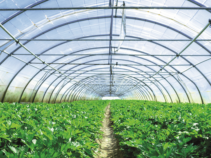 PVC lijm voor tuinbouw en agricultuur