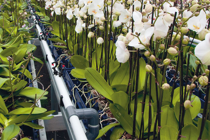 PVC-Klebstoff für den Gartenbau